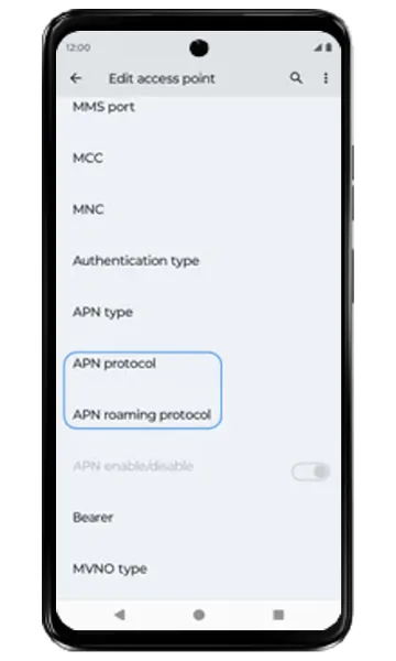 Edit access point screen with APN protocol and roaming protocol highlighted