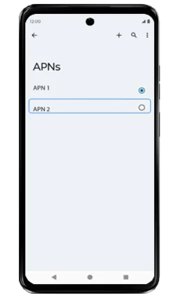 APNs list with the new APN highlighted