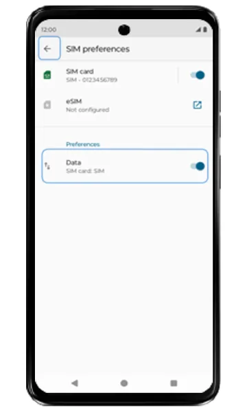 SIM preferences with the Data switch turned on