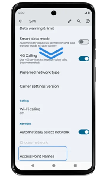 SIM settings with Access Point Names highlighted