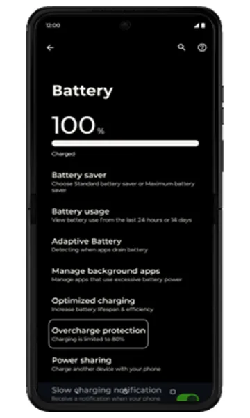 Battery screen with Overcharge protection highlighted