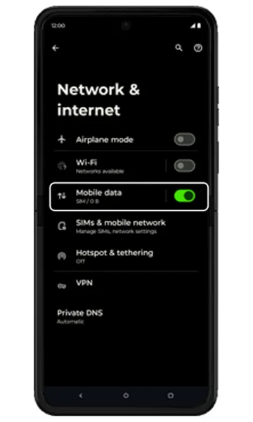 Network & internet screen with the Mobile data switch highlighted