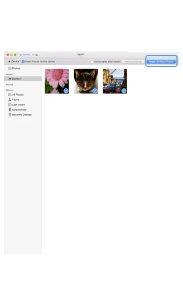 Photos app with the Import All New Photos button highlighted