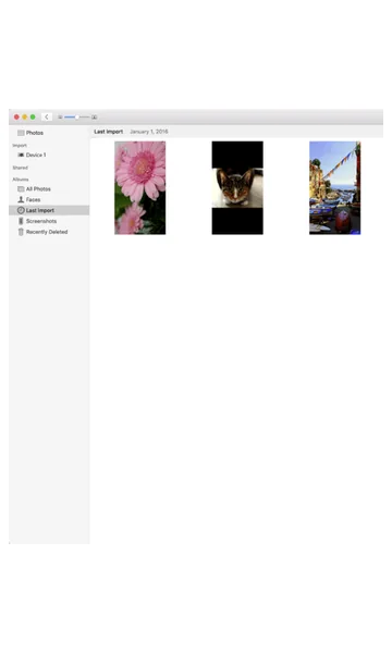 Photos app showing the imported pictures